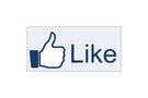 Facebook Like Button