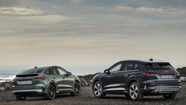 Audi Q4 e-tron und Sportback e-tron von hinten an Küstenlandschaft