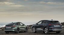 Audi Q4 e-tron und Sportback e-tron von hinten an Küstenlandschaft