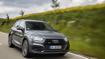 Audi SQ5 TDI 2019
