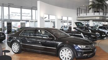 Autohaus, Flottenmarkt, Volkswagen