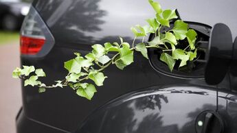 Autokauf: Verbrauch ist wichtigstes Kriterium