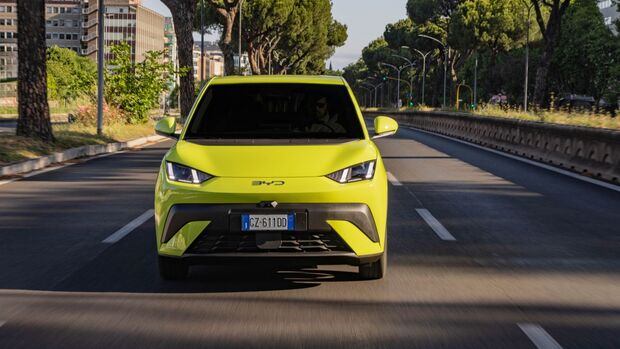 BYD Dolphin Surf 2025