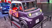 Buggy Vision 2024