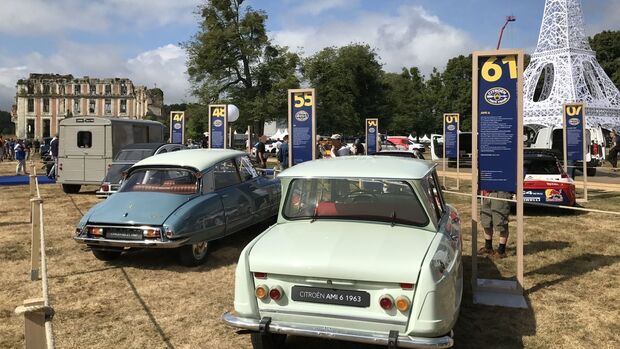 Citroen Ami 6