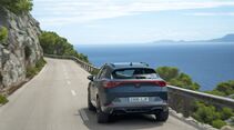 Cupra Formentor VZ 2.0 TSI
