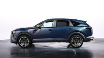 Dacia Striker 2026