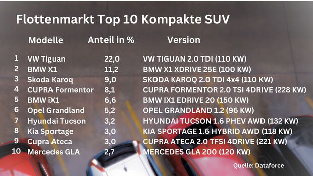 Dataforce Kompakte SUV 2024