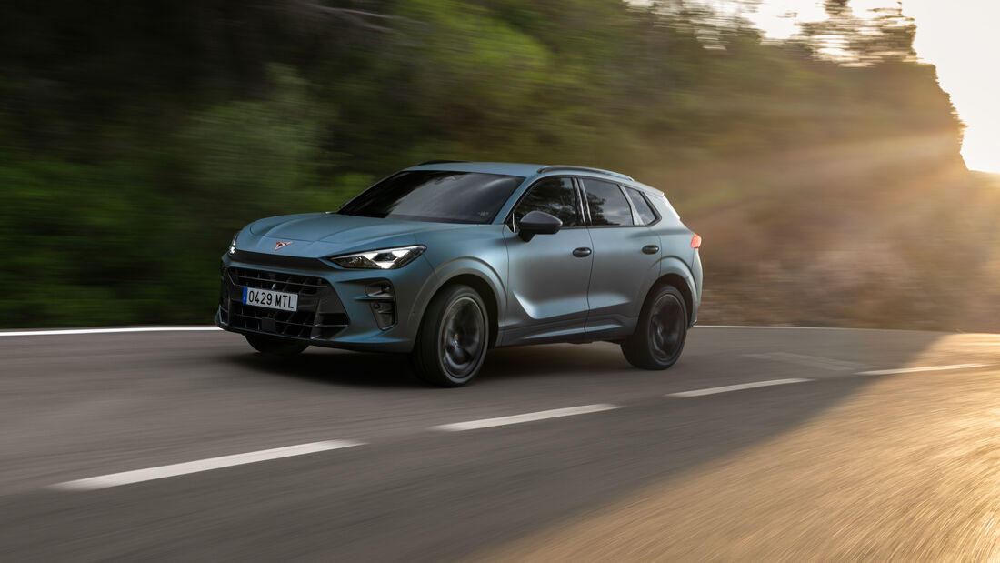 Der Cupra Terramar will die sportliche Alternative zu VW Tiguan und Co. sein