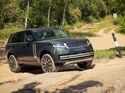 Dunkelgrüner Range Rover fährt über einen felsigen Abschnitt einer unbefestigten Strecke in bewaldetem Gelände.