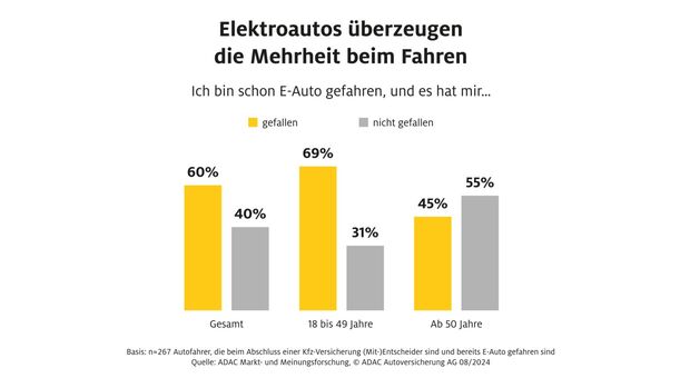 Elektroautos 2024