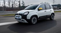 Fiat Pandina 2025