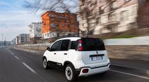 Fiat Pandina 2025