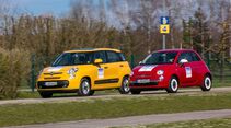 Firmenauto des Jahres 2013 in Rust.