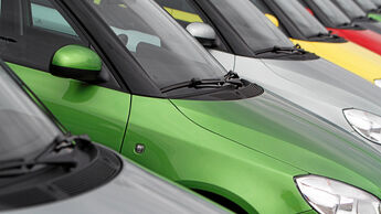 Firmenauto des Jahres 2013 in Rust.