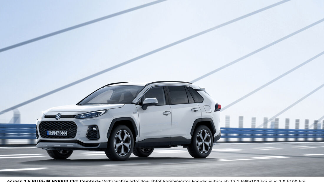 Firmenporträt Suzuki Who is Who PKW