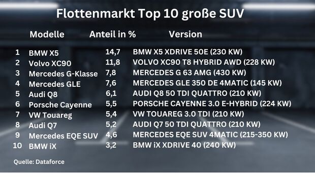 Flottenmarkt Top Ten große SUV