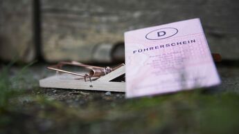 Führerschein Mausefalle