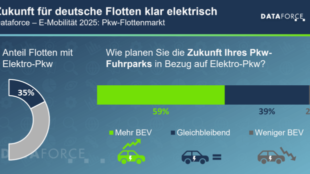 Grafik zur Dataforce-Studie 2025 zur Elektro-Mobilität