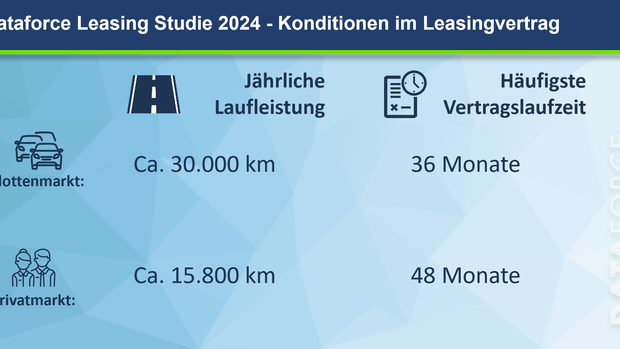 Grafiken Leasingmarkt 2024 Dataforce