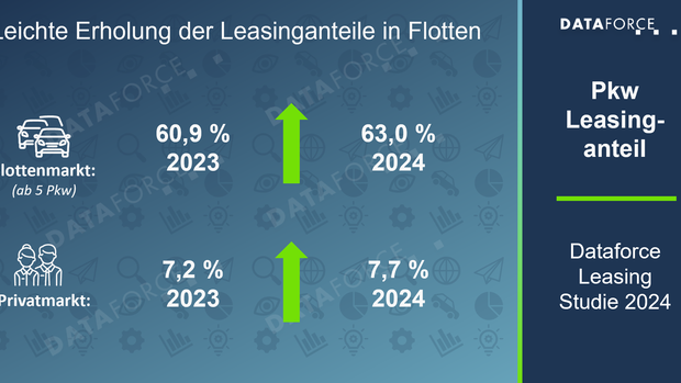 Grafiken Leasingmarkt 2024 Dataforce