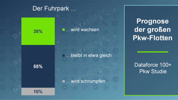 Grafische Darstellung zur erwarteten Entwicklung großer Pkw-Flotten mit Anteilen für Wachstum, stabile Bestände und schrumpfende Fuhrparks.