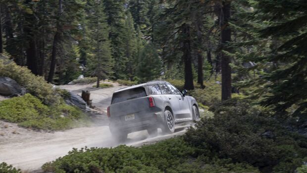 Grauer MINI Countryman Untamed Edition fährt auf einem unbefestigten Waldweg zwischen Nadelbäumen und wirbelt Staub auf.