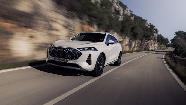 Great Wall Motor (GWM) 2024