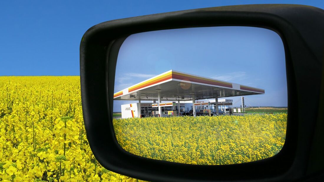 Gute Perspektiven fr Biodiesel