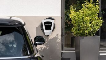 Heidelberg Wallbox 2023