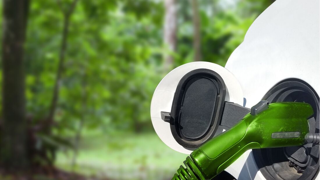 Ladekabel an einem Elektroauto vor grüner Waldkulisse, Symbol für alternative Antriebe und nachhaltige Firmenflotten.