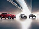 Lexus RX 450h+ 2025