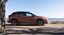 Lexus UX 300h 2024