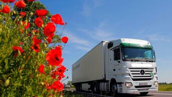 Lkw