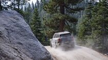 MINI Countryman Untamed Edition in Grau fährt auf einer staubigen Waldstraße an einem großen Felsen und Nadelbäumen vorbei.