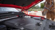 Mercedes X-Klasse 350 d 4matic, 2018, rot, motor, diesel, pferd, 