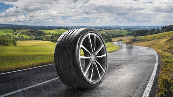 Michelin 2024