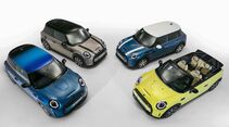 Mini 2021