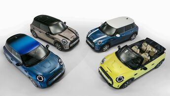 Mini 2021