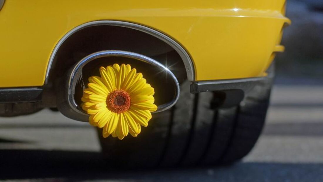 Okö-Image, Flotte, DUh, Dienstwagen
