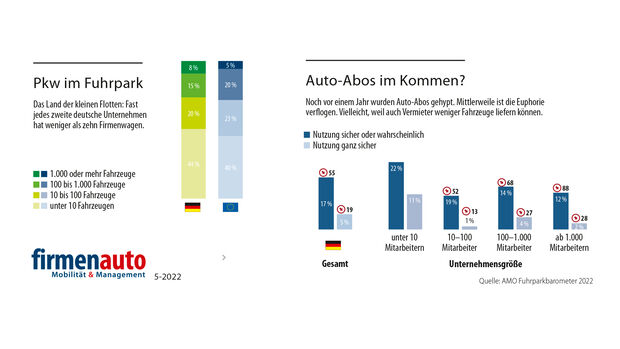 Pkw im Fuhrpark 2022