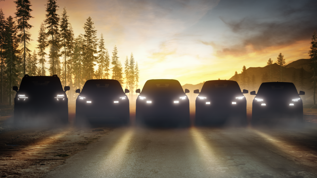 Schattenansicht mehrerer Ford-Modelle mit eingeschalteten Scheinwerfern vor Waldkulisse.