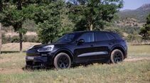Schwarzer Porsche Cayenne SUV in Seitenansicht auf einer Wiese