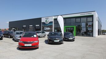 Skoda Autohaus Dessau Händler Autohandel Verkauf Autoverkauf