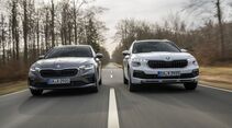 Skoda Kamiq und Scala 2024