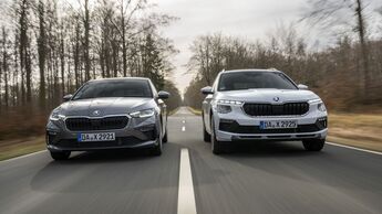 Skoda Kamiq und Scala 2024