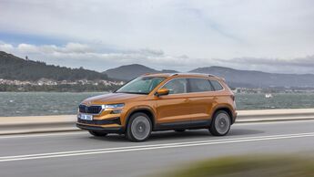 Skoda Karoq 2024