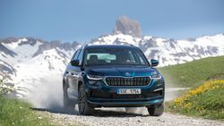 Skoda Kodiaq 2021 