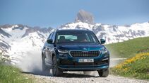 Skoda Kodiaq 2021 