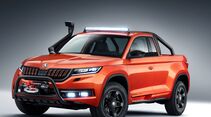 Skoda Pick-Up 2019